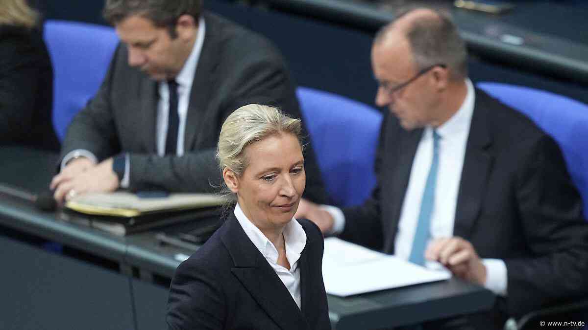 FDP und BSW unter Hürde: Umfrage sieht AfD bundesweit an den 30 Prozent kratzen