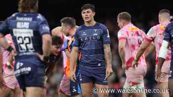 Louis Rees-Zammit missing from final match as ruling stops him being picked