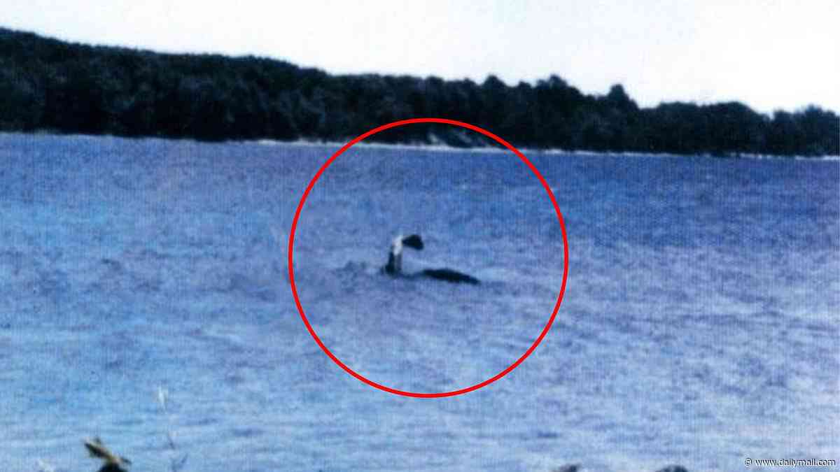 Mystery of America's Nessie deepens as strange creature appears behind boat in chilling video