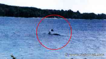 Mystery of America's Nessie deepens as strange creature appears behind boat in chilling video