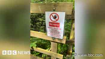 'No signs of life' in stream after sewage spill