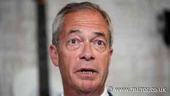 Nigel Farage's lavish '£700k' beach pad makeover after £5m gift from crypto tycoon Christopher Harborne