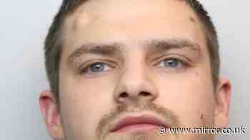Police officer wept as he faced drug-driver who left him with life-changing injuries