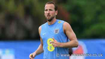 What TV channel is England v New Zealand on? Start time and team news