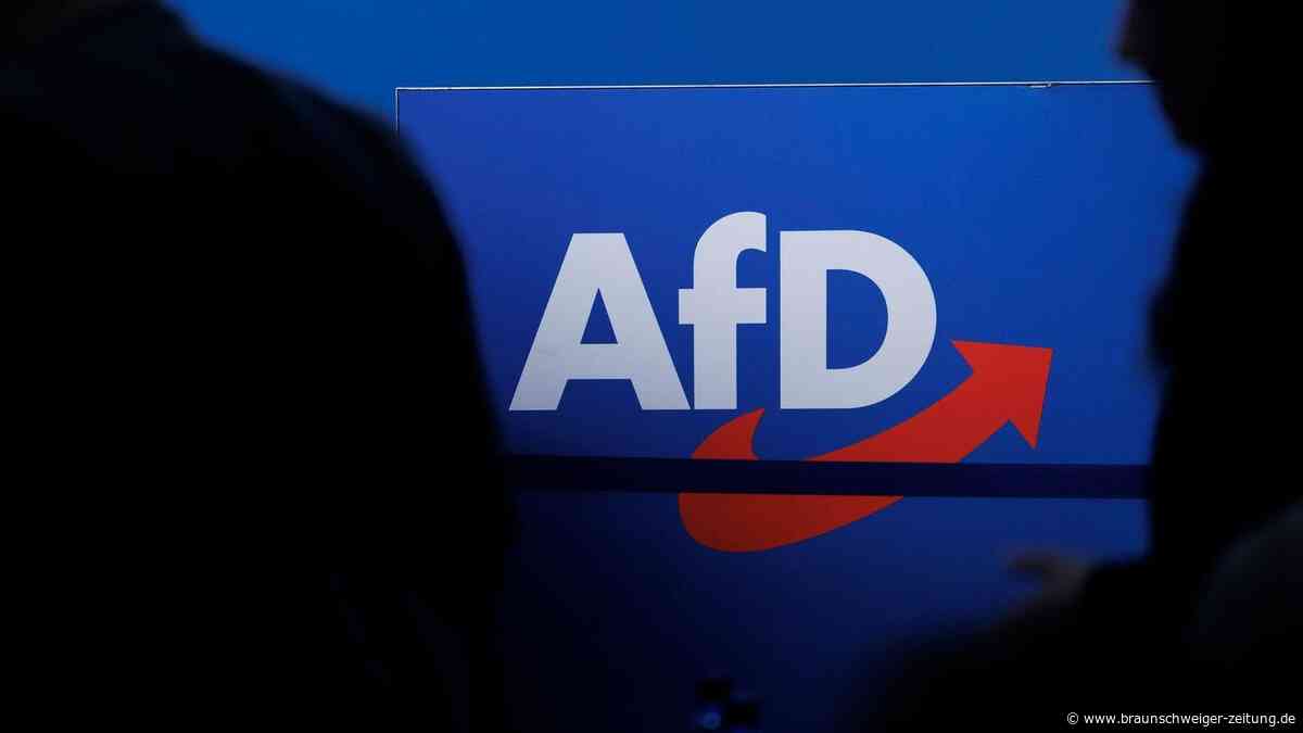Neue Umfrage: AfD wird immer beliebter – Vorsprung zur Union so groß wie nie