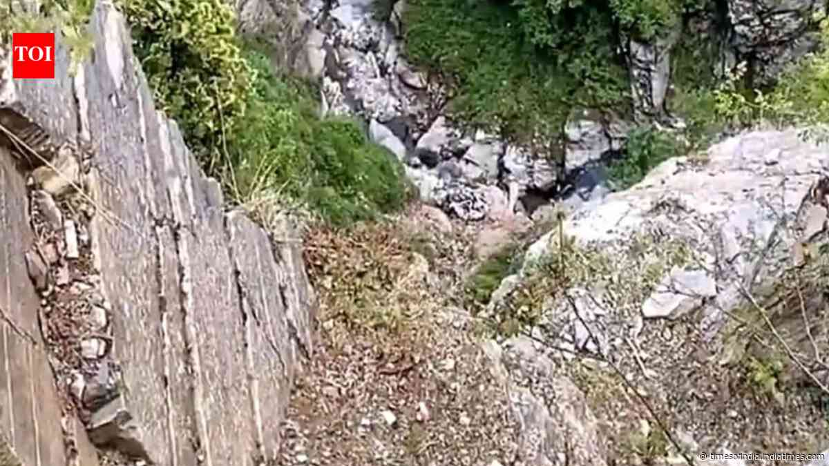 Army officer dies after falling into gorge during anti-terror operation in J&amp;K's Rajouri