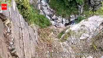 Army officer dies after falling into gorge during anti-terror operation in J&amp;K's Rajouri