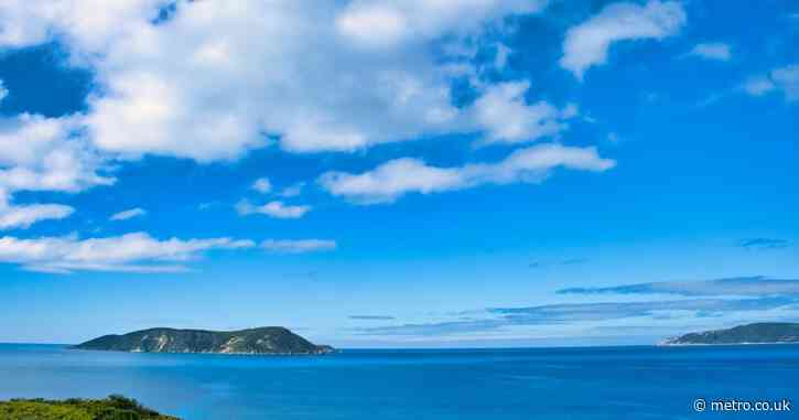 Man killed by 15 ft shark while on fishing trip with his family