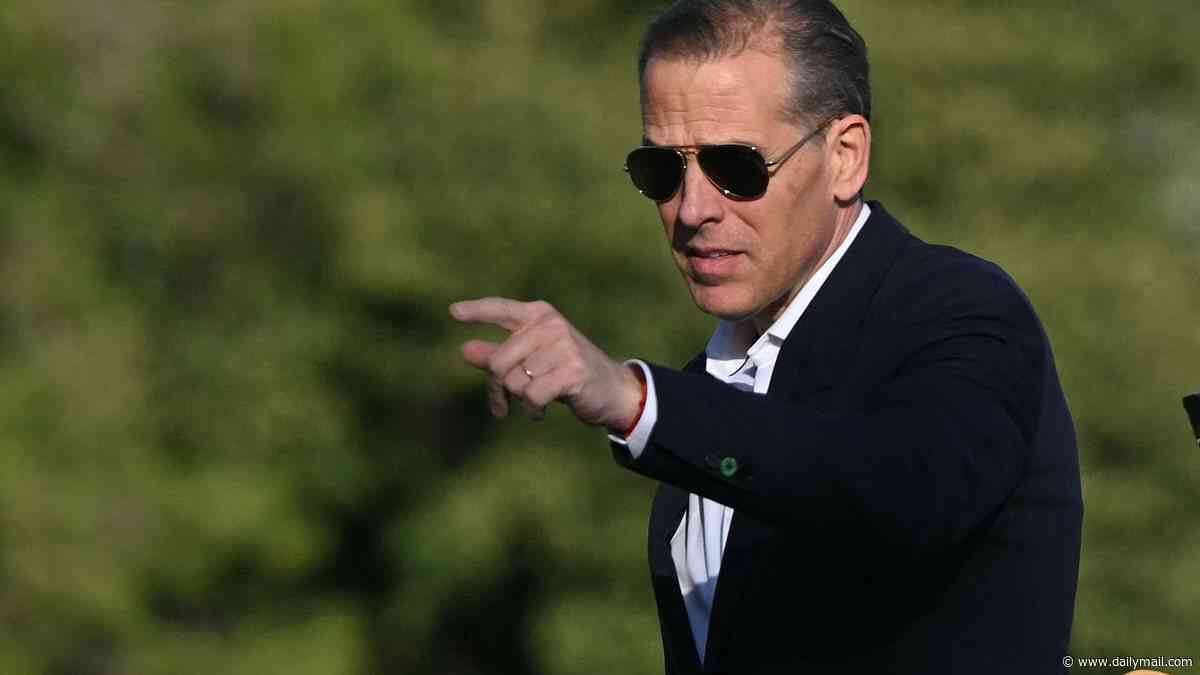 Inside the Democrat plot to deploy Hunter Biden as secret 'MAGA whisperer' to capture disillusioned Trump supporters amid midterms desperation