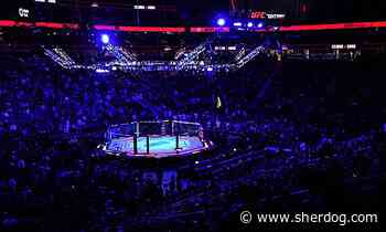 Current UFC champion goes off on ‘predatory’ UFC fighter pay