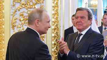 SPD-Politiker zu Putin-Treffen: Stegner: Schröder kein Verhandlungsführer, aber Vermittler