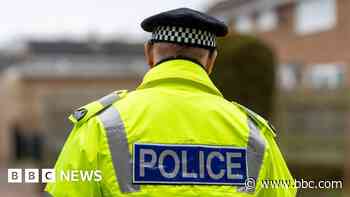 Police make two arrests after sexual assault