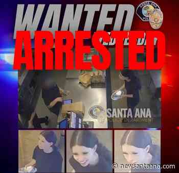 Woman who attacked a Chipotle employee arrested by the Santa Ana police