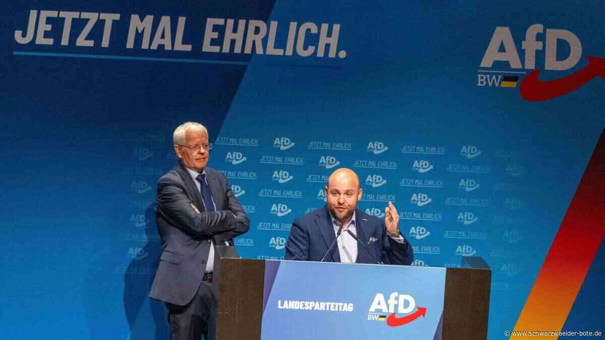 Parteitag in Heidenheim: Die AfD hat sich ihrer Führung komplett ergeben