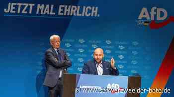 Parteitag in Heidenheim: Die AfD hat sich ihrer Führung komplett ergeben