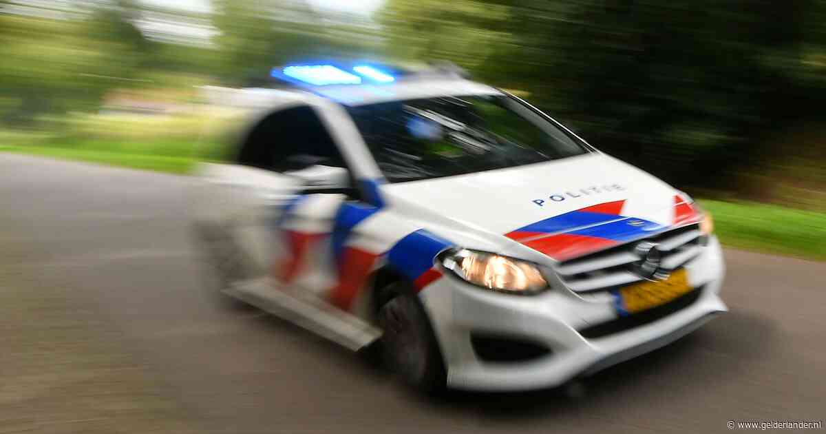 Wilde achtervolging op de A12: bestuurder (18) ramt politieauto met gestolen wagen