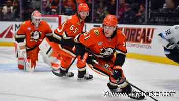Blackhawks Blue Line Could Use Zellweger If the Ducks Make Him Available