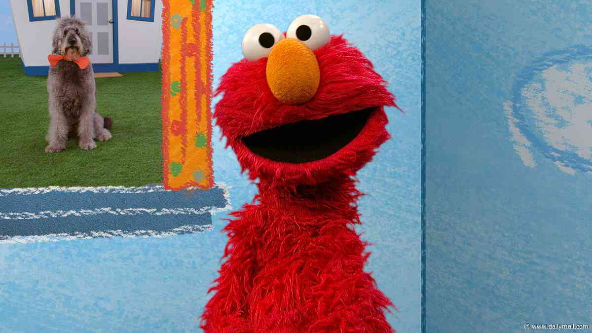 Elmo forced to back-pedal hard after he's roasted by Knicks fans for tweet cheering on 'both teams'