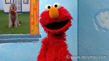 Elmo forced to back-pedal hard after he's roasted by Knicks fans for tweet cheering on 'both teams'