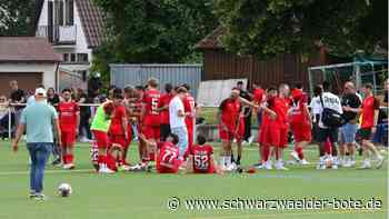 TSV Altensteig gerettet: FV Calw muss in die Relegation