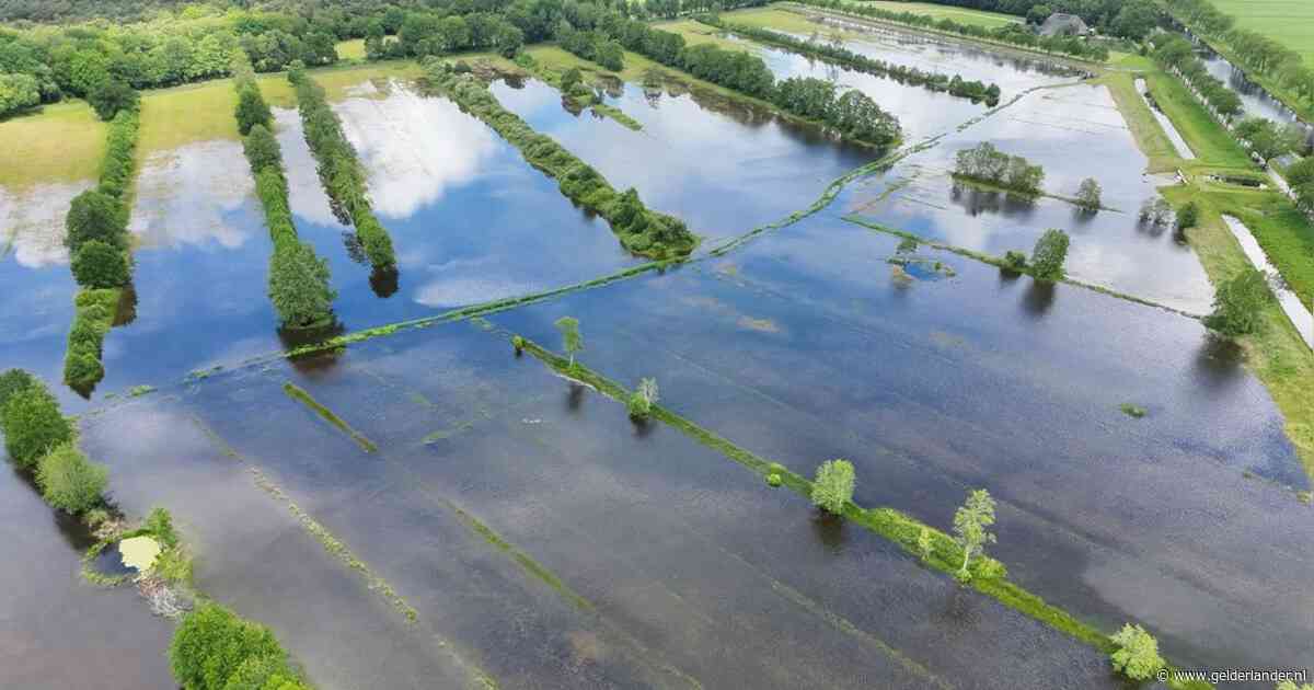 Natuurgebied loopt onder water door storing, nesten vol eieren broedvogels spoelen weg