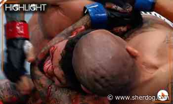 UFC Vegas 118 highlight video: Edgar Chairez RNCs Bruno Silva