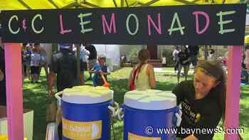 St. Pete lemonade stand marks 10 years raising money for cancer research