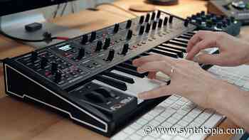 Julian “J3PO” Pollack Makes Entire Album With One Synth