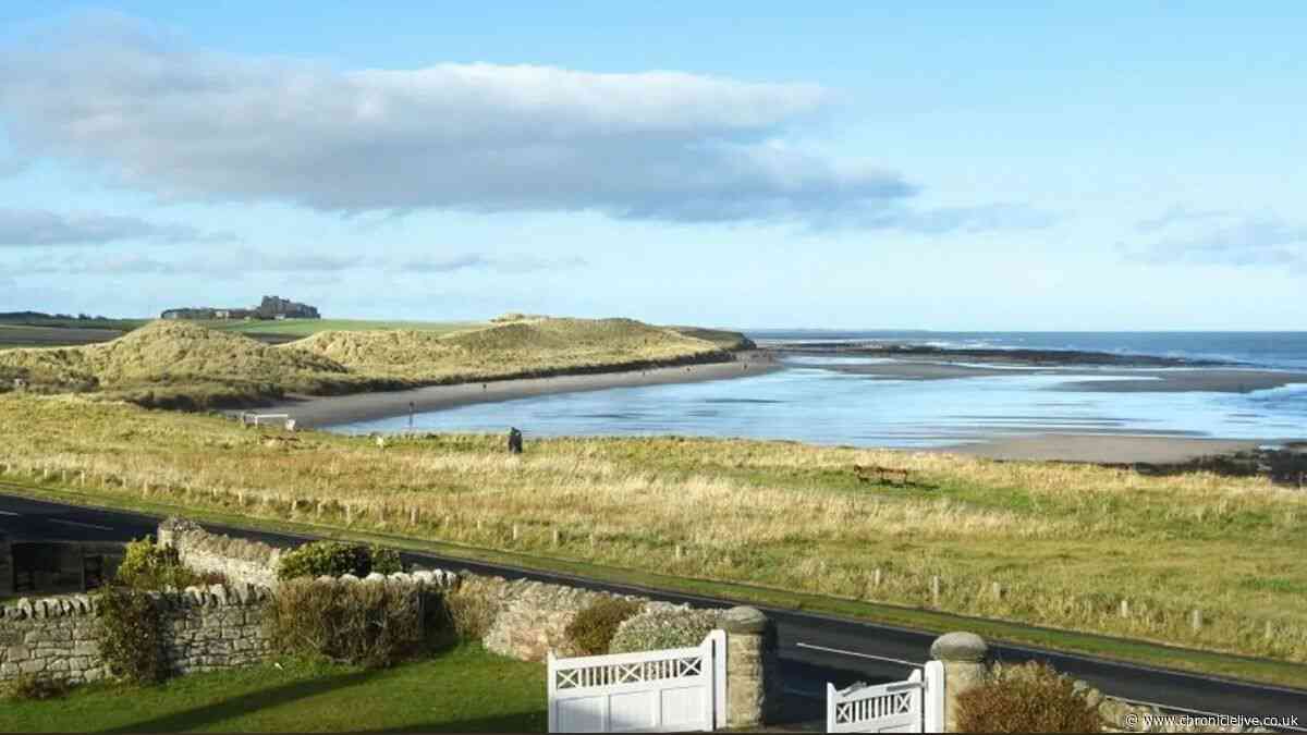 The 'exquisite' seaside cottage with 'most spectacular' Northumberland Coast views
