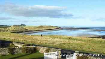 The 'exquisite' seaside cottage with 'most spectacular' Northumberland Coast views