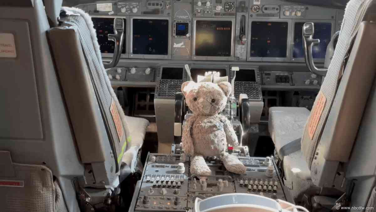 American Airlines reunites Fort Worth boy with beloved teddy bear