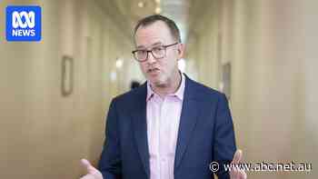 'Beyond our capacity' to defend sea trade lanes, Shoebridge says