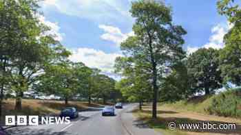 Bollard plan to protect park from nuisance drivers