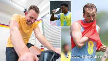 This is unbearable. I'm dizzy, disorientated, a kilogram lighter and my legs are like lead. How hard will it be playing in 'dangerous' 40°C heat at the World Cup? I found out the hard way - now I know why experts think players won't even last a half