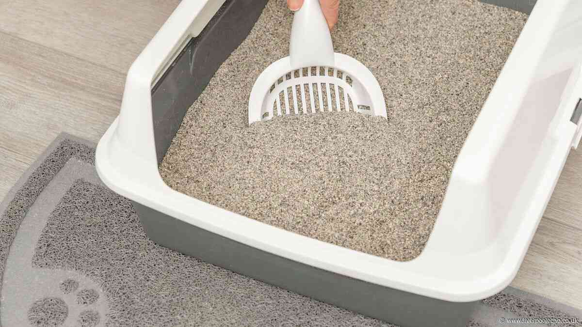 I've tried over 10 cat litters for my pet - 1 is worth the money