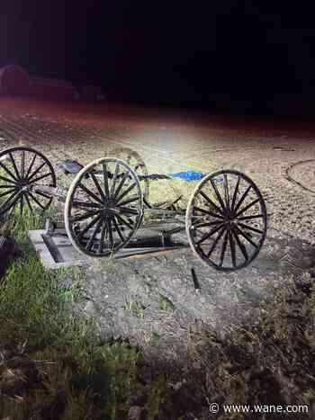 Teen dead after Friday morning buggy crash in Adams County