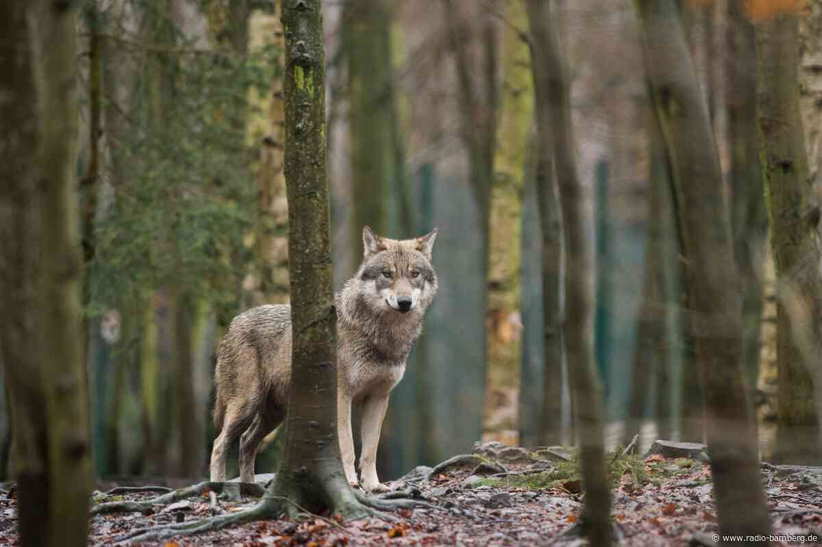 Alpsaison startet mit gemischten Gefühlen