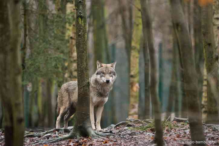 Alpsaison startet mit gemischten Gefühlen