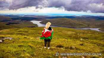 Should we share Welsh beauty spots or keep them to ourselves?