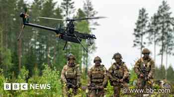 Delays to defence plan undermine UK credibility, MPs say