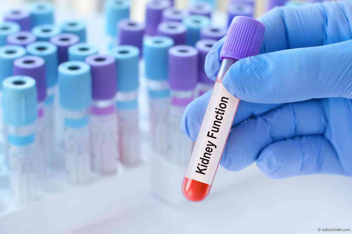 A Normal Kidney Test Could Still Signal Serious Risk