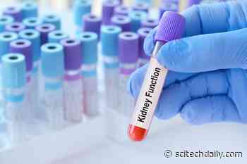 A Normal Kidney Test Could Still Signal Serious Risk