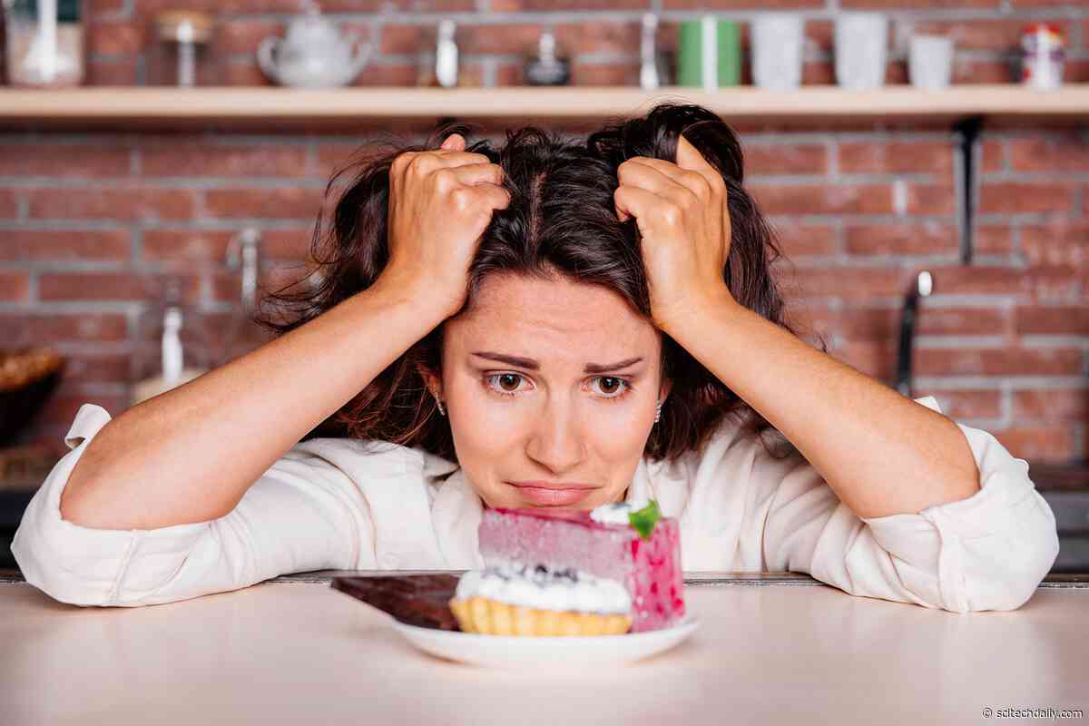 Scientists Discover Gut Signal That Turns Off Sugar Cravings