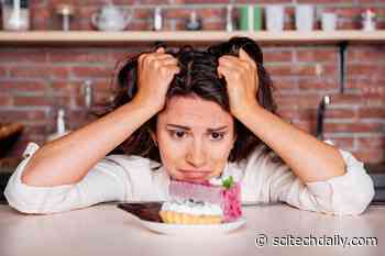Scientists Discover Gut Signal That Turns Off Sugar Cravings