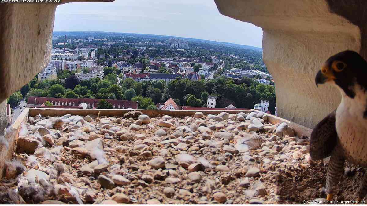 Glück und Unglück liegen in Augsburg dicht beieinander