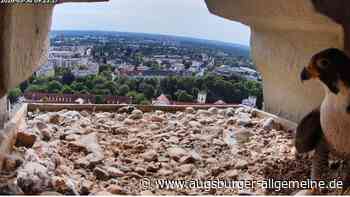 Glück und Unglück liegen in Augsburg dicht beieinander