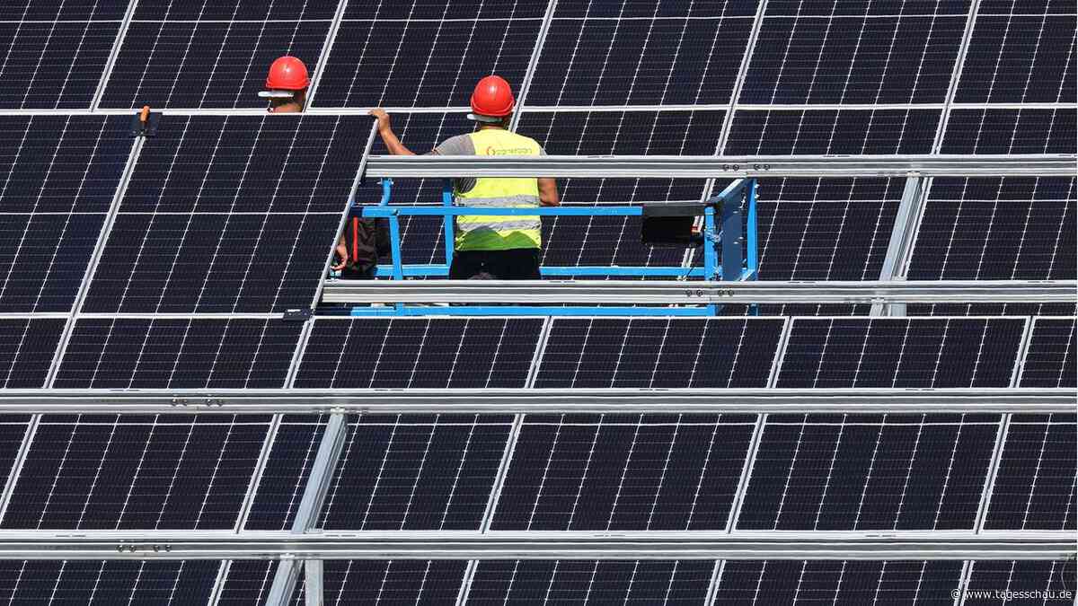 Forschung an neuen Modulen: Solarzellen sollen effizienter werden