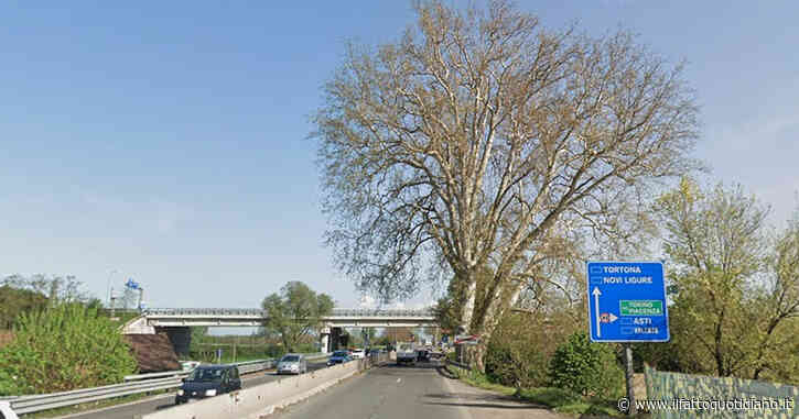 Ho un’utopia: che spostino la strada attorno al platano di Napoleone ad Alessandria