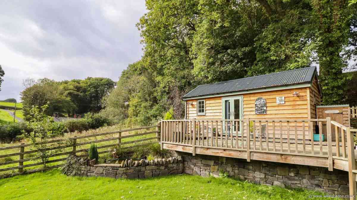 Dog-friendly lodge in 'idyllic' location is perfect for a peaceful getaway