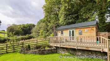 Dog-friendly lodge in 'idyllic' location is perfect for a peaceful getaway